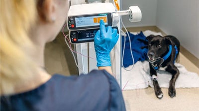 Versorgung stationärer Patienten