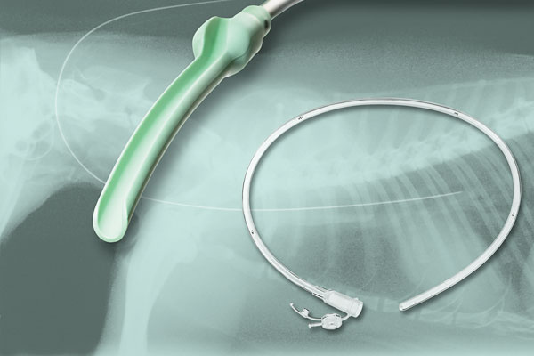 Esophagostomy, Esophagus Probe, Feeding Tube