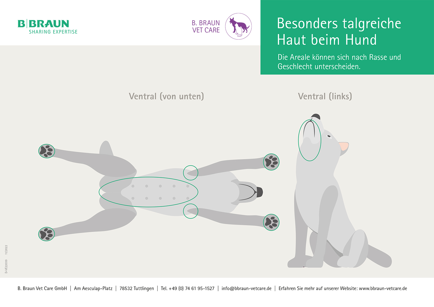 Grafik: Besonders talgreiche Haut beim Hund