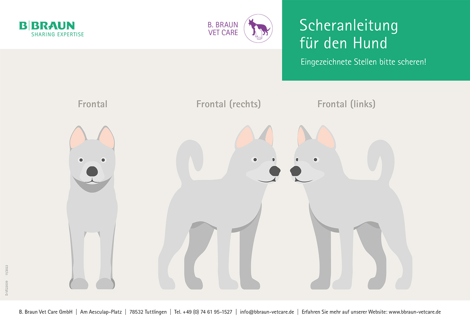 Auszug: Alle Ansichten des Hundes als PDF-Download