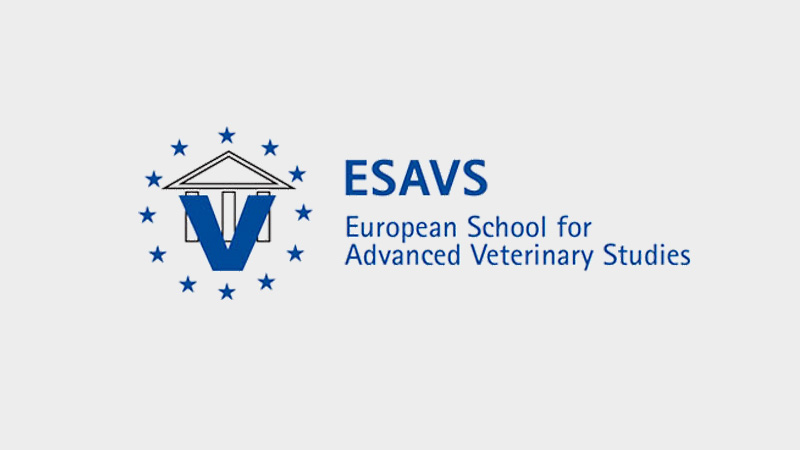 Logo von ESAVS mit einem blauen stilisierten Symbol, umgeben von Sternen, sowie dem Text „ESAVS – European School for Advanced Veterinary Studies.“