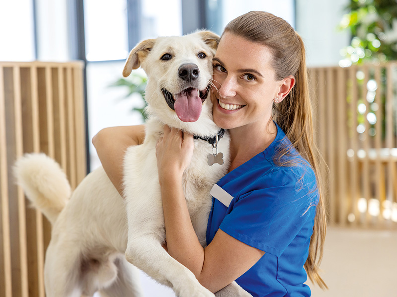 Tiermedizinische Fachangestellte in Arbeitskleidung hält einen Hund auf dem Arm in einer modernen Praxisumgebung.