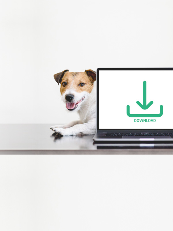 Laptop mit Download-Symbol auf dem Bildschirm, platziert auf einer hellen Oberfläche, mit einem Hund im Hintergrund vor einem sauberen weißen Hintergrund.